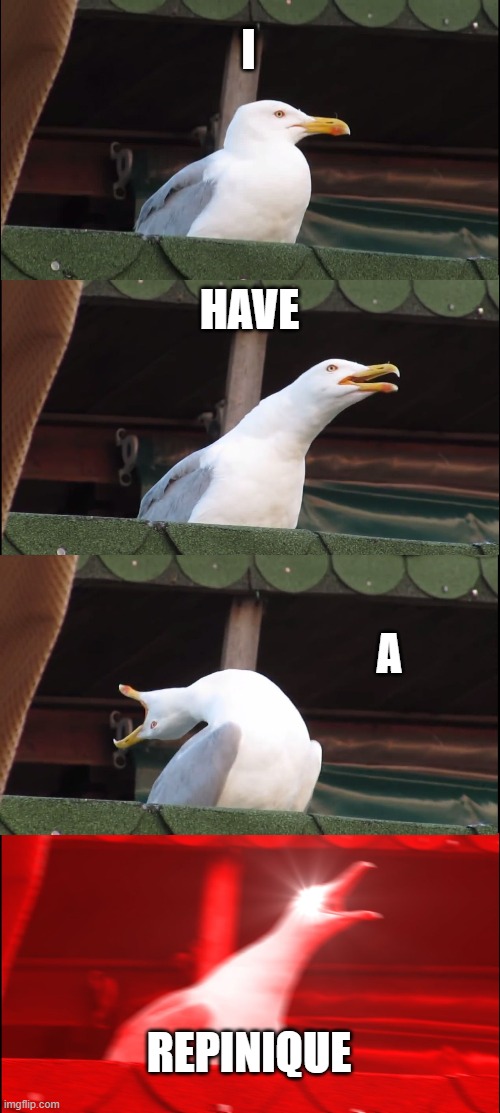 bruh2 | I; HAVE; A; REPINIQUE | image tagged in memes,inhaling seagull | made w/ Imgflip meme maker