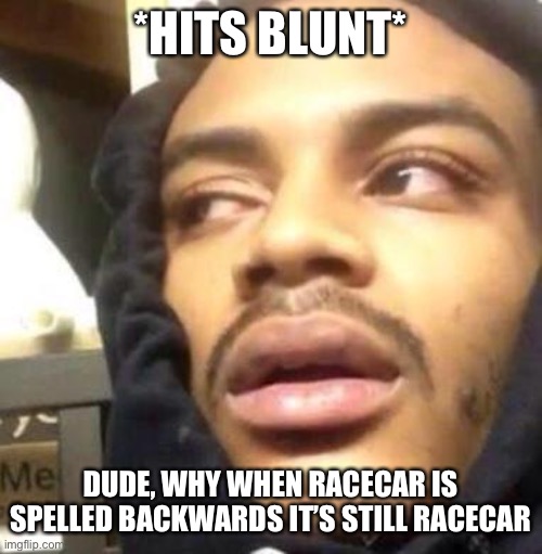 Hits Blunt | *HITS BLUNT*; DUDE, WHY WHEN RACECAR IS SPELLED BACKWARDS IT’S STILL RACECAR | image tagged in hits blunt | made w/ Imgflip meme maker