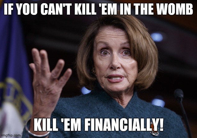 Good old Nancy Pelosi | IF YOU CAN'T KILL 'EM IN THE WOMB KILL 'EM FINANCIALLY! | image tagged in good old nancy pelosi | made w/ Imgflip meme maker