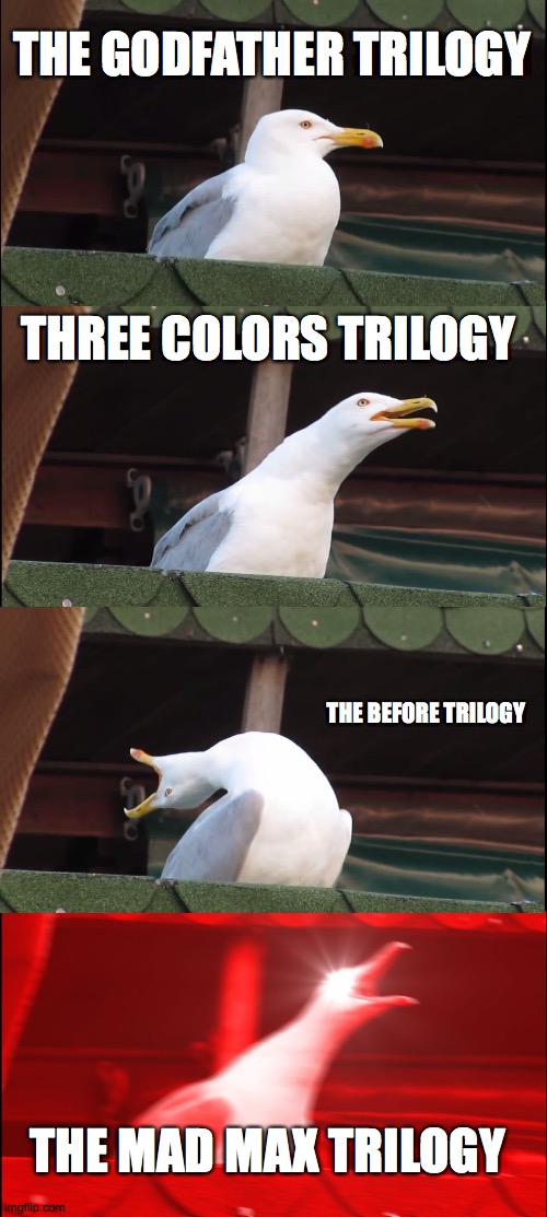 trilogies | THE GODFATHER TRILOGY; THREE COLORS TRILOGY; THE BEFORE TRILOGY; THE MAD MAX TRILOGY | image tagged in memes,inhaling seagull | made w/ Imgflip meme maker