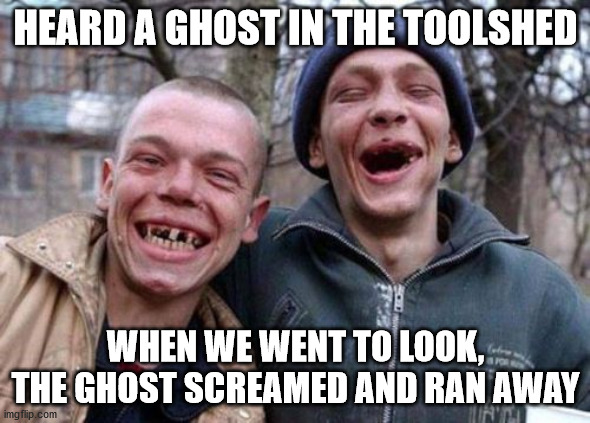 Ugly Twins | HEARD A GHOST IN THE TOOLSHED; WHEN WE WENT TO LOOK, THE GHOST SCREAMED AND RAN AWAY | image tagged in memes,ugly twins | made w/ Imgflip meme maker