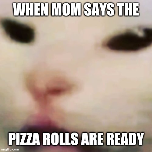 Pizza rolls | WHEN MOM SAYS THE; PIZZA ROLLS ARE READY | image tagged in yeet baby | made w/ Imgflip meme maker