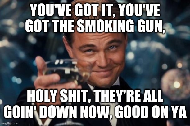 Leonardo Dicaprio Cheers Meme | YOU'VE GOT IT, YOU'VE GOT THE SMOKING GUN, HOLY SHIT, THEY'RE ALL GOIN' DOWN NOW, GOOD ON YA | image tagged in memes,leonardo dicaprio cheers | made w/ Imgflip meme maker