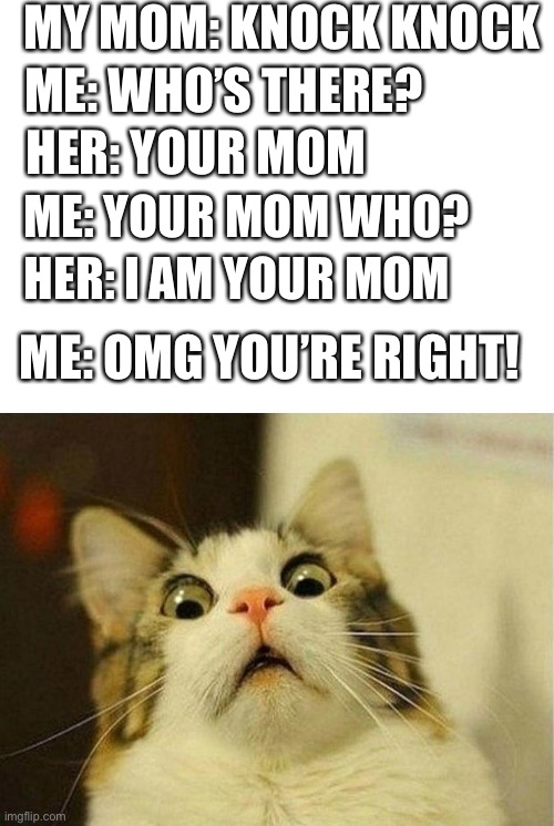 Scared Cat | MY MOM: KNOCK KNOCK; ME: WHO’S THERE? HER: YOUR MOM; ME: YOUR MOM WHO? HER: I AM YOUR MOM; ME: OMG YOU’RE RIGHT! | image tagged in memes,scared cat | made w/ Imgflip meme maker