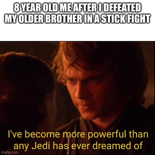 anakin force | 8 YEAR OLD ME AFTER I DEFEATED MY OLDER BROTHER IN A STICK FIGHT | image tagged in anakin force | made w/ Imgflip meme maker