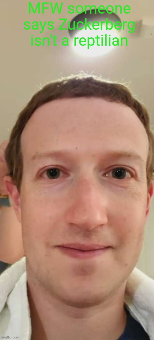 zucc | MFW someone says Zuckerberg isn't a reptilian | image tagged in mark zuckerberg,reptilians,facebook | made w/ Imgflip meme maker