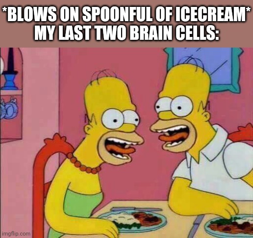 My Last Two Brain Cells | *BLOWS ON SPOONFUL OF ICECREAM*

MY LAST TWO BRAIN CELLS: | image tagged in my last two brain cells | made w/ Imgflip meme maker