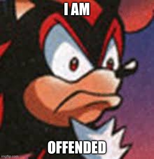 shadow offended | I AM OFFENDED | image tagged in shadow offended | made w/ Imgflip meme maker