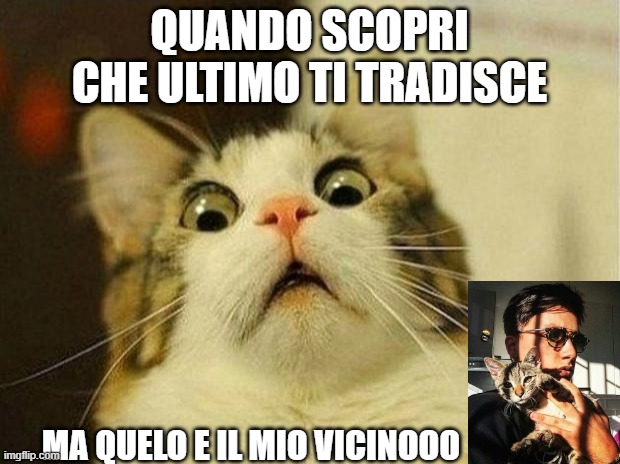 Scared Cat Meme | QUANDO SCOPRI CHE ULTIMO TI TRADISCE; MA QUELO E IL MIO VICINOOO | image tagged in memes,scared cat | made w/ Imgflip meme maker