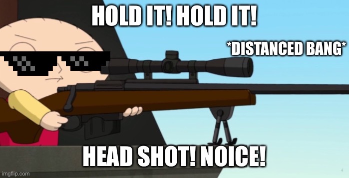 HEAD SHOT! | HOLD IT! HOLD IT! *DISTANCED BANG*; HEAD SHOT! NOICE! | image tagged in family guy | made w/ Imgflip meme maker