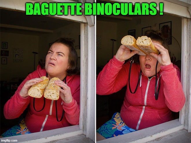 Baguettes | BAGUETTE BINOCULARS ! | image tagged in binoculars,baguette | made w/ Imgflip meme maker