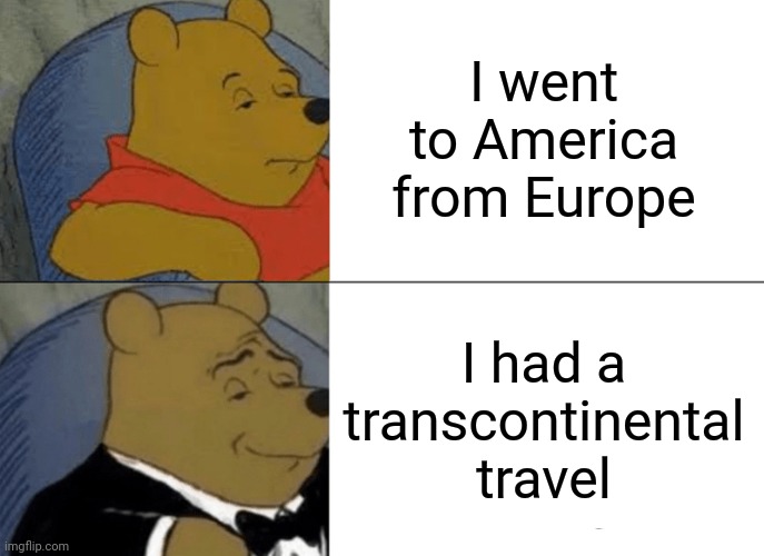 . | I went to America from Europe; I had a transcontinental travel | image tagged in memes,tuxedo winnie the pooh | made w/ Imgflip meme maker