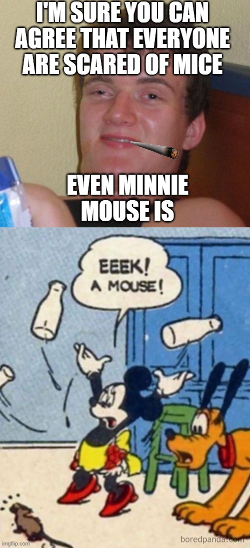 Cartoon logic | I'M SURE YOU CAN AGREE THAT EVERYONE ARE SCARED OF MICE; EVEN MINNIE MOUSE IS | image tagged in memes,10 guy,puttyloo2,cartoon logic | made w/ Imgflip meme maker