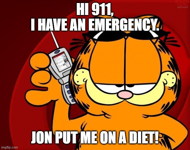 Garfield's emergency | HI 911,
I HAVE AN EMERGENCY. JON PUT ME ON A DIET! | image tagged in garfield is speaking | made w/ Imgflip meme maker