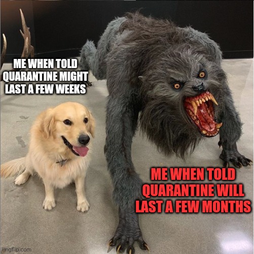Quarantine transformation | ME WHEN TOLD QUARANTINE MIGHT LAST A FEW WEEKS; ME WHEN TOLD QUARANTINE WILL LAST A FEW MONTHS | image tagged in dog vs werewolf | made w/ Imgflip meme maker