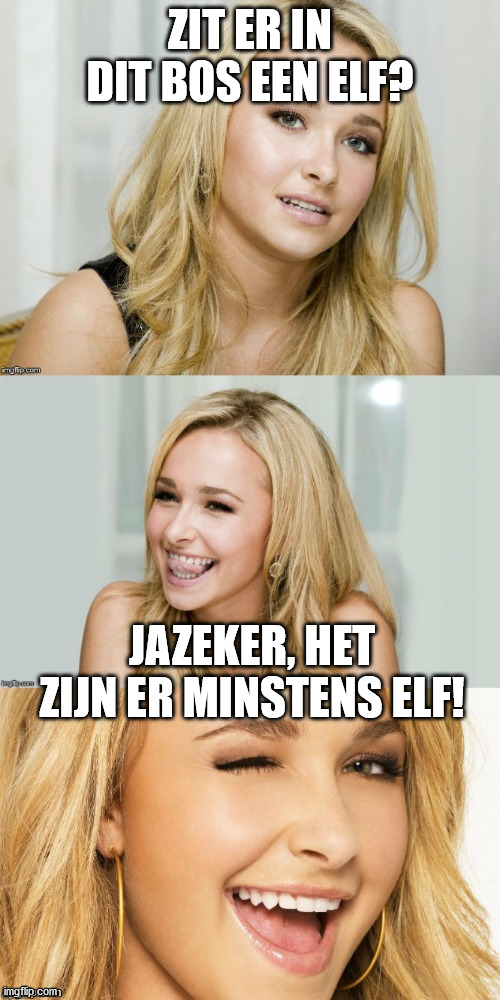 Another test to see if you have good understanding of the Dutch language (and therefore understand this pun). | ZIT ER IN DIT BOS EEN ELF? JAZEKER, HET ZIJN ER MINSTENS ELF! | image tagged in bad pun hayden panettiere,elf,pun,dutch | made w/ Imgflip meme maker