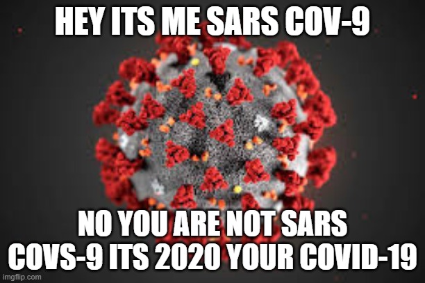 Funny | HEY ITS ME SARS COV-9; NO YOU ARE NOT SARS COVS-9 ITS 2020 YOUR COVID-19 | image tagged in coronavirus | made w/ Imgflip meme maker