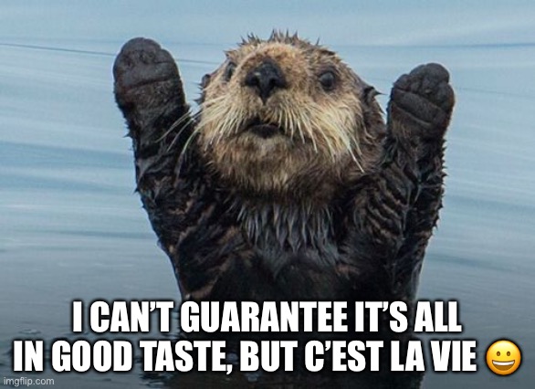 Hands up otter | I CAN’T GUARANTEE IT’S ALL IN GOOD TASTE, BUT C’EST LA VIE ? | image tagged in hands up otter | made w/ Imgflip meme maker