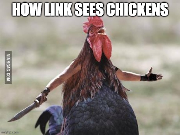 Come at me chicken | HOW LINK SEES CHICKENS | image tagged in come at me chicken | made w/ Imgflip meme maker