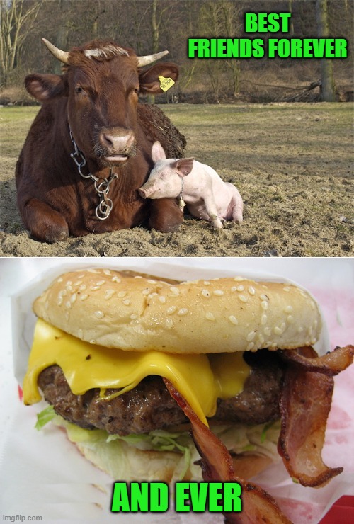 best of friends | BEST FRIENDS FOREVER; AND EVER | image tagged in beef,pork,best friend | made w/ Imgflip meme maker