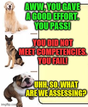 Inter-rater reliability | AWW, YOU GAVE      A GOOD EFFORT.     
YOU PASS! YOU DID NOT MEET COMPETENCIES.
YOU FAIL! UHH, SO, WHAT ARE WE ASSESSING? | image tagged in validity | made w/ Imgflip meme maker