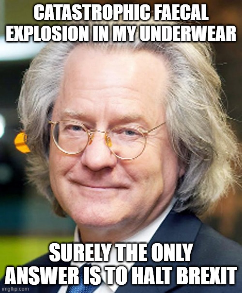 CATASTROPHIC FAECAL EXPLOSION IN MY UNDERWEAR; SURELY THE ONLY ANSWER IS TO HALT BREXIT | image tagged in brexit | made w/ Imgflip meme maker