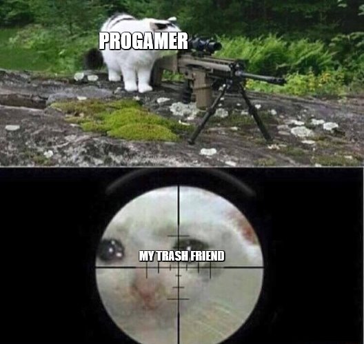 oof | PROGAMER; MY TRASH FRIEND | image tagged in sniper cat,cool | made w/ Imgflip meme maker