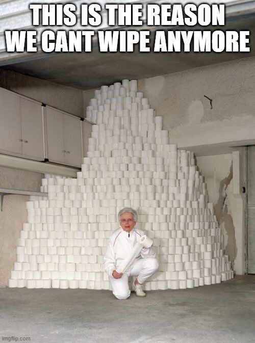 toilet paper hoarder | THIS IS THE REASON WE CANT WIPE ANYMORE | image tagged in mountain of toilet paper | made w/ Imgflip meme maker