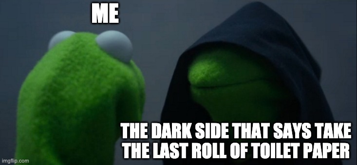 Evil Kermit | ME; THE DARK SIDE THAT SAYS TAKE THE LAST ROLL OF TOILET PAPER | image tagged in memes,evil kermit,toilet paper,dark humor | made w/ Imgflip meme maker