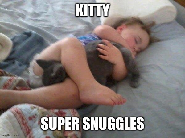 DON'T HURT THE KITTY | KITTY; SUPER SNUGGLES | image tagged in cats,funny cats | made w/ Imgflip meme maker