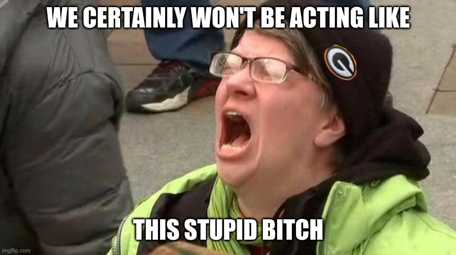Screaming protester | WE CERTAINLY WON'T BE ACTING LIKE THIS STUPID BITCH | image tagged in screaming protester | made w/ Imgflip meme maker