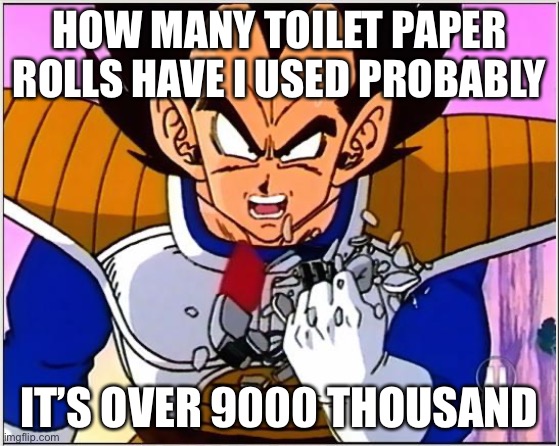 Vegeta over 9000 | HOW MANY TOILET PAPER ROLLS HAVE I USED PROBABLY; IT’S OVER 9000 THOUSAND | image tagged in vegeta over 9000 | made w/ Imgflip meme maker