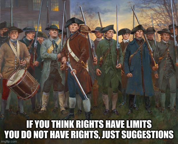 Shove your democratic socialism | IF YOU THINK RIGHTS HAVE LIMITS YOU DO NOT HAVE RIGHTS, JUST SUGGESTIONS | image tagged in revolutionary militia,democratic socialism is communism,communism,this we will defend,freedom,never biden | made w/ Imgflip meme maker