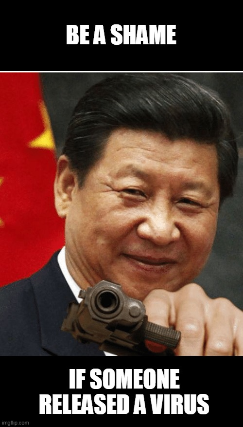 Xi Jinping | BE A SHAME IF SOMEONE RELEASED A VIRUS | image tagged in xi jinping | made w/ Imgflip meme maker