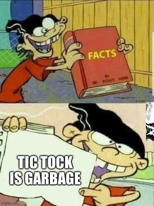 Double d facts book  | TIC TOCK IS GARBAGE | image tagged in double d facts book | made w/ Imgflip meme maker