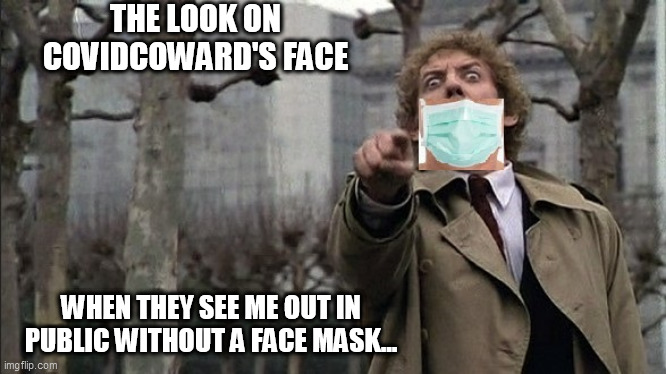 Body Snatchers Are Here | THE LOOK ON COVIDCOWARD'S FACE; WHEN THEY SEE ME OUT IN PUBLIC WITHOUT A FACE MASK... | image tagged in covidiots | made w/ Imgflip meme maker