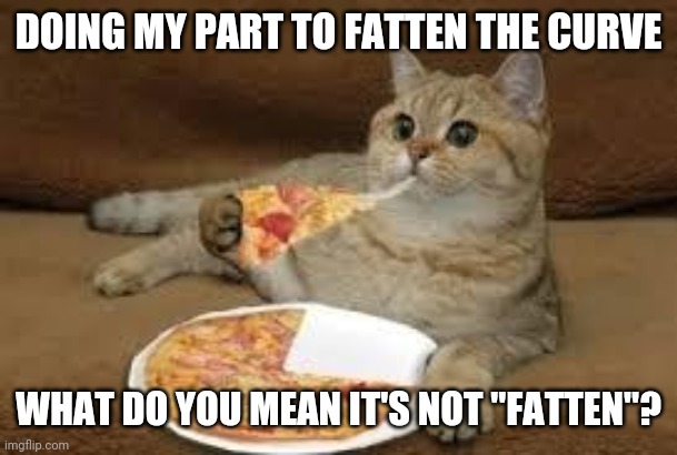 Fattening the curve | DOING MY PART TO FATTEN THE CURVE; WHAT DO YOU MEAN IT'S NOT "FATTEN"? | image tagged in cat eats pizza,isolation,eating | made w/ Imgflip meme maker