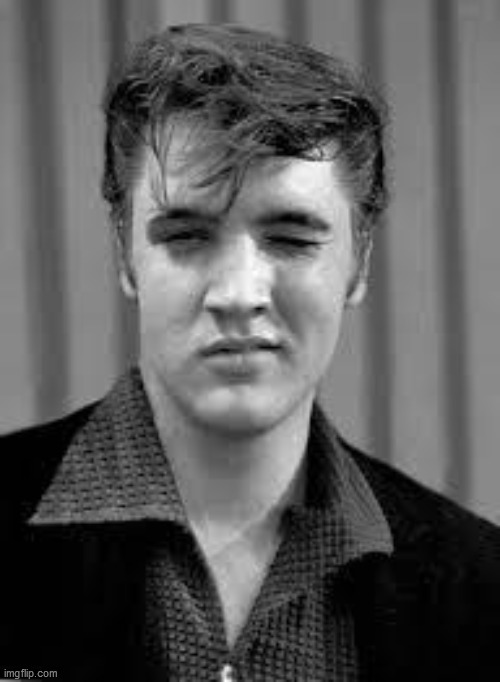 Elvis | image tagged in elvis | made w/ Imgflip meme maker