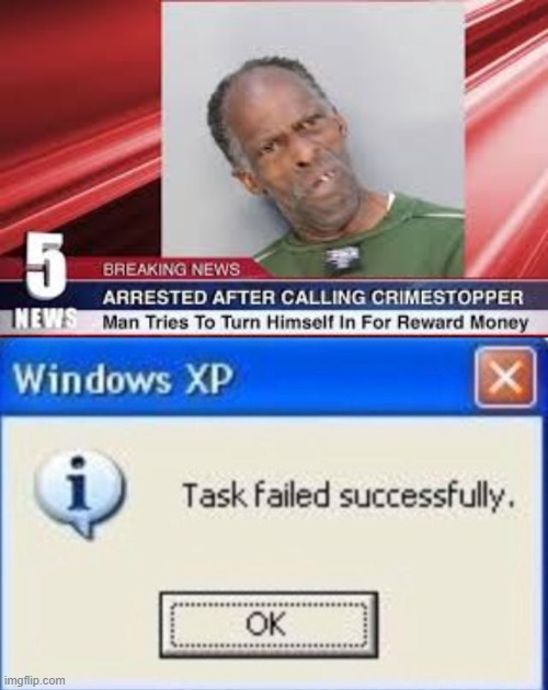 image tagged in task failed successfully | made w/ Imgflip meme maker