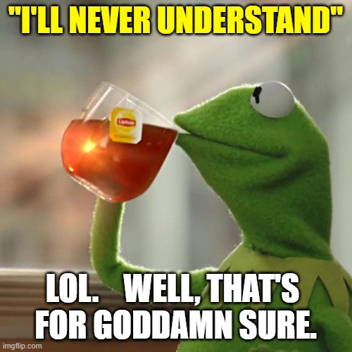 But That's None Of My Business Meme | "I'LL NEVER UNDERSTAND" LOL.    WELL, THAT'S 
FOR GODDAMN SURE. | image tagged in memes,but that's none of my business,kermit the frog | made w/ Imgflip meme maker