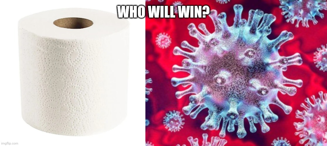 WHO WILL WIN? | image tagged in toilet paper,coronavirus,who will win | made w/ Imgflip meme maker