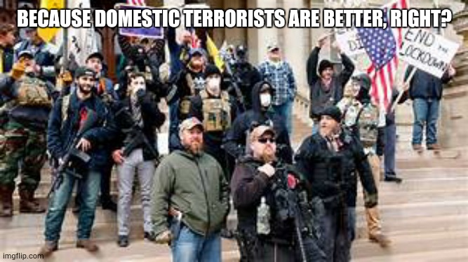 BECAUSE DOMESTIC TERRORISTS ARE BETTER, RIGHT? | made w/ Imgflip meme maker