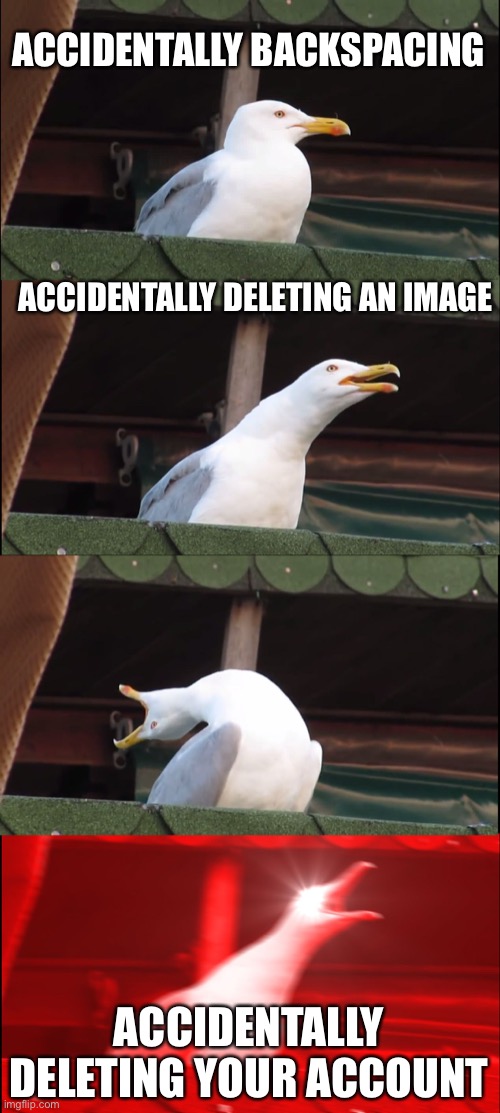 Inhaling Seagull Meme | ACCIDENTALLY BACKSPACING; ACCIDENTALLY DELETING AN IMAGE; ACCIDENTALLY DELETING YOUR ACCOUNT | image tagged in memes,inhaling seagull | made w/ Imgflip meme maker