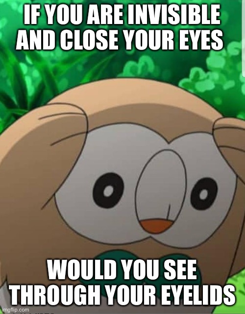 Umm | IF YOU ARE INVISIBLE AND CLOSE YOUR EYES; WOULD YOU SEE THROUGH YOUR EYELIDS | image tagged in rowlet pokemon meme | made w/ Imgflip meme maker