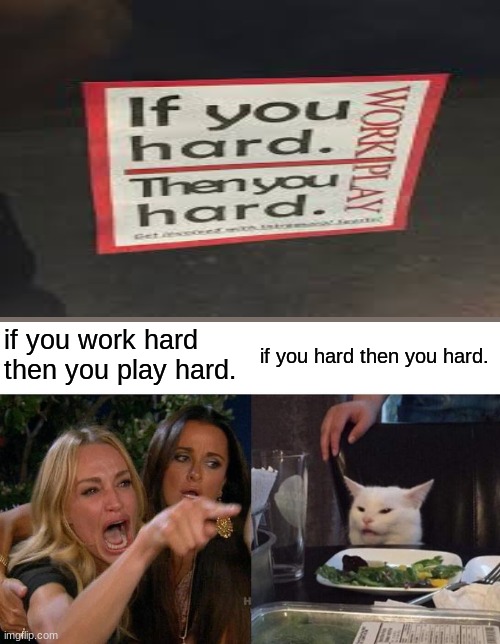 Woman Yelling At Cat Meme | if you work hard then you play hard. if you hard then you hard. | image tagged in memes,woman yelling at cat | made w/ Imgflip meme maker