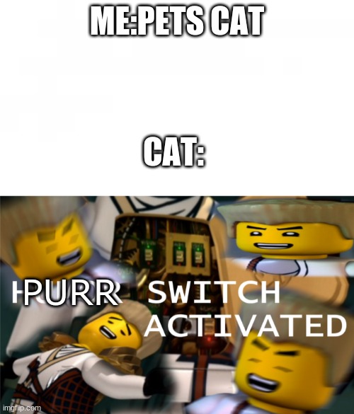 purr switch! | ME:PETS CAT; CAT:; PURR | image tagged in cats | made w/ Imgflip meme maker