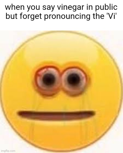 vinegar | when you say vinegar in public but forget pronouncing the 'Vi' | image tagged in dank,memes,offensive,reddit | made w/ Imgflip meme maker