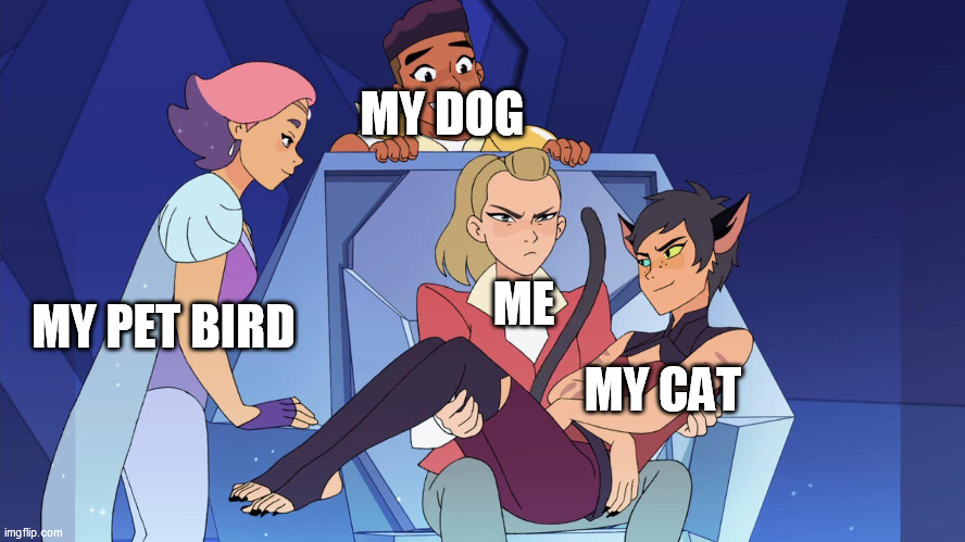 Concentrate | MY DOG; ME; MY PET BIRD; MY CAT | image tagged in she ra,cats,pets,dogs,birds | made w/ Imgflip meme maker