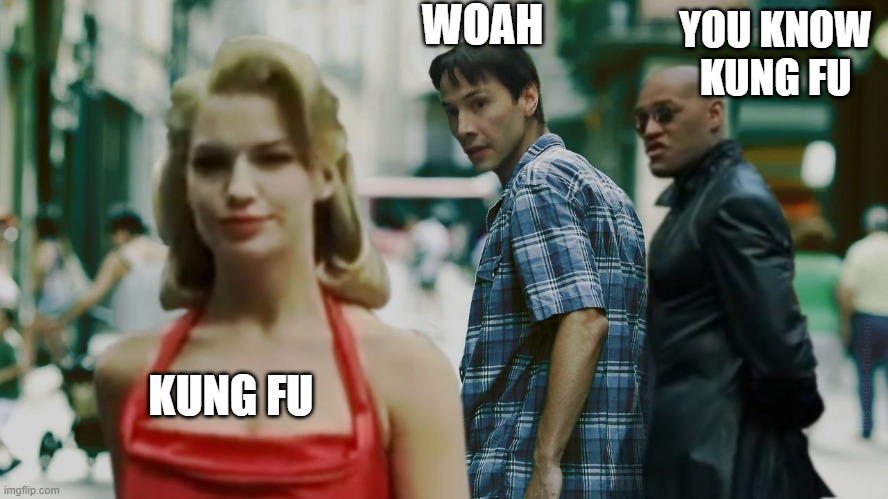 woman red dress girls | WOAH; YOU KNOW KUNG FU; KUNG FU | image tagged in woman red dress girls | made w/ Imgflip meme maker