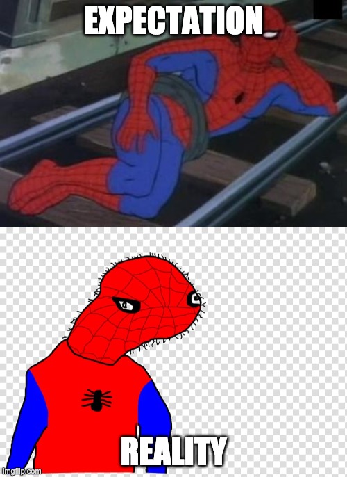 EXPECTATION; REALITY | image tagged in memes,sexy railroad spiderman | made w/ Imgflip meme maker
